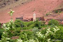 Cami d'Ait Ben Haddou